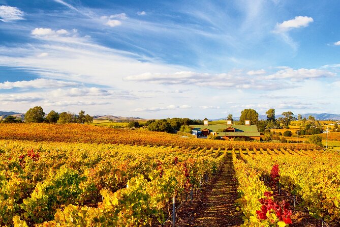 Small-Group Muir Woods With Napa & Sonoma Wine Tour - Traveler Experiences