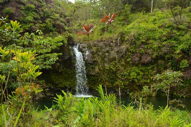 Small-Group Road to Hana Luxury Tour - Guest Experiences and Reviews