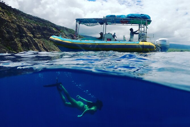 Small Group Snorkeling Expedition South Kona - Requirements and Additional Info
