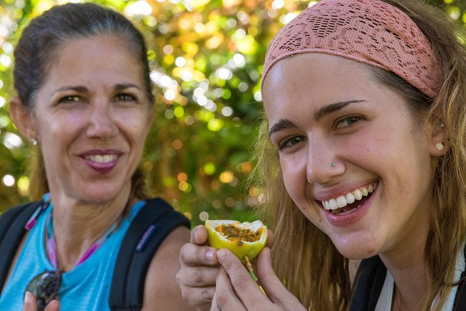 Small Group Waterfall and Rainforest Hiking Adventure on Maui - Exploring East Mauis Lush Beauty