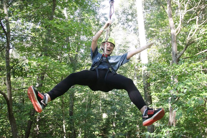 Small-Group Zipline Tour in Hot Springs - Customer Reviews and Feedback
