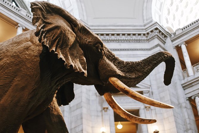 Smithsonian Museum of Natural History - Exclusive Guided Tour - Tour Features and Benefits