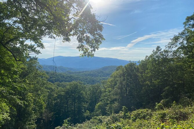Smoky Mountains Roaring Fork Guided Sightseeing Tour by Jeep - Local Flora and Potential Wildlife Sightings
