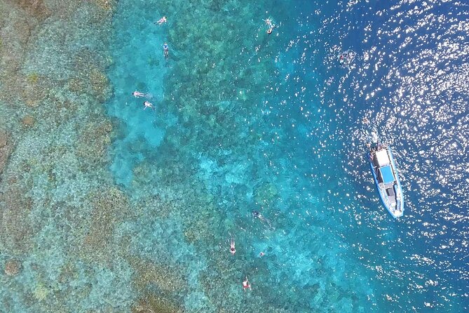 Snorkel Tour to Captain Cook Monument Kailua-Kona, Big Island - Meeting Point and Safety Considerations