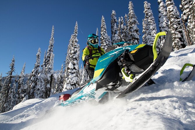 Snowmobile Safari Through Lappish Forest From Rovaniemi - Participant Requirements