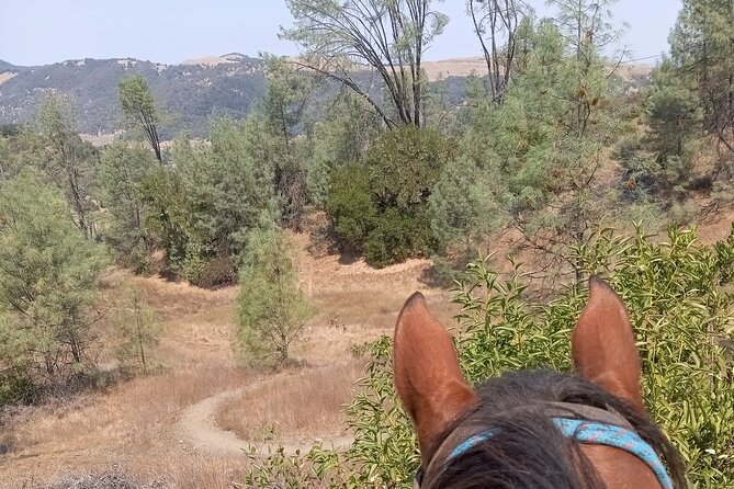 Sonoma Horseback-Riding Tour - Health and Safety Requirements