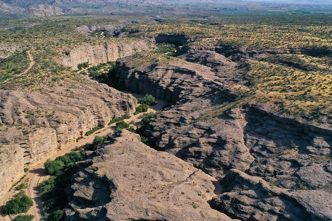 Sonoran Desert Jeep Tour - Review Highlights