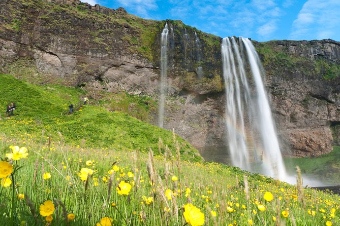 South Coast Sagas: Small Group Tour From Reykjavik - Accessibility and Preparations
