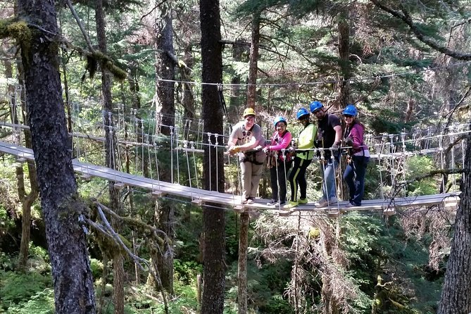 Stoney Creek Canopy Adventure - Safety and Accessibility