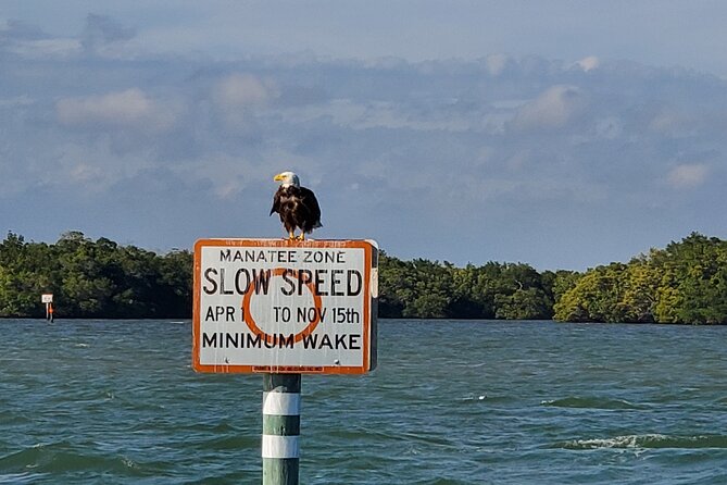 Sunset Dolphin Cruise With Sanibel Lighthouse Views - Wildlife Sightings and Marine Life Encounters