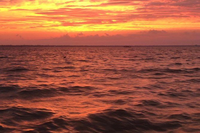Sunset Dolphin Watching Cruise in Destin Harbor - Passenger Feedback and Experiences