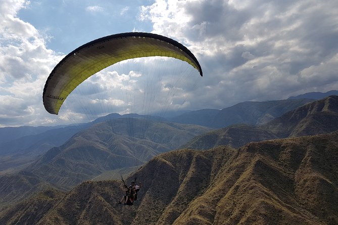 Tandem Flight Paraglider With Instructor + HD - Customer Reviews and Highlights