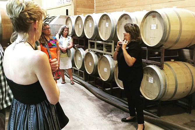Taste of Fredericksburg Small-Group Wine Tour From San Antonio - Wineries and Tastings
