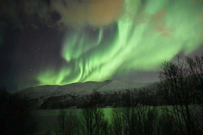 The Aurora Tour - Small Group, Northern Lights - Company Response to Criticism
