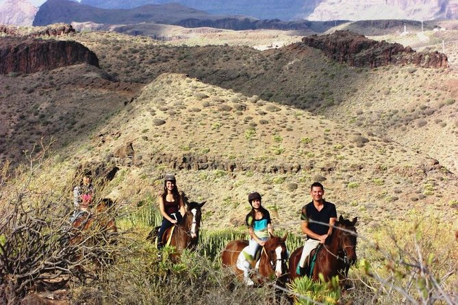 The Best Horse Riding Experience in Gran Canaria (2 Hours) - Recommendations for Families and Horse Lovers