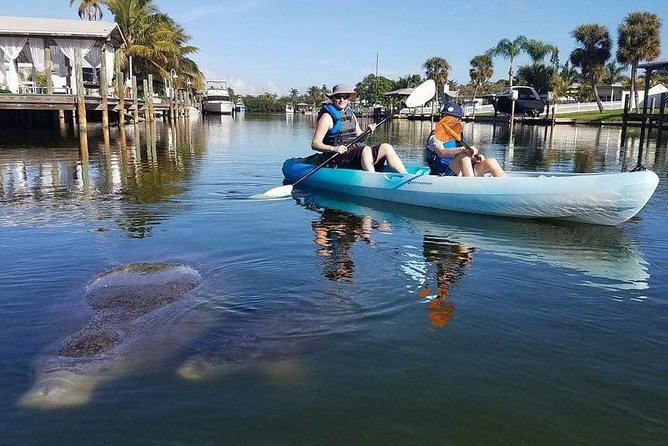 Thousand Island Mangrove Tunnel, Manatee & Dolphin Kayak Tour W/Cocoa Kayaking - Included in the Tour