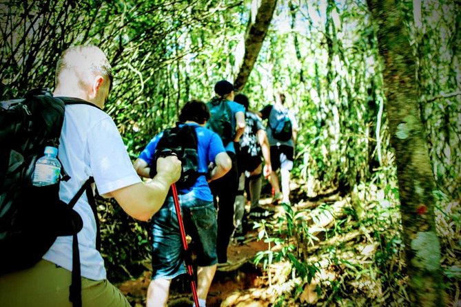 Tijuca Forest Challenge Full-Day Hike (Small-Group or Private) - Tour Options and Pricing Details