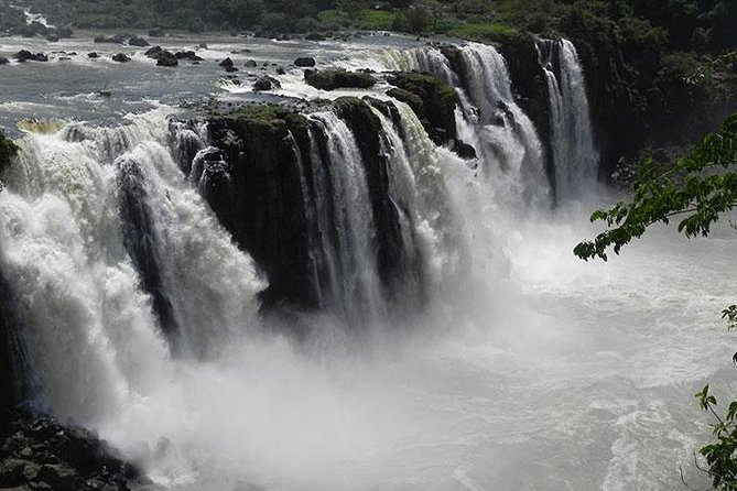Tour to Iguassu Falls Brazilian Side - Positive Customer Feedback