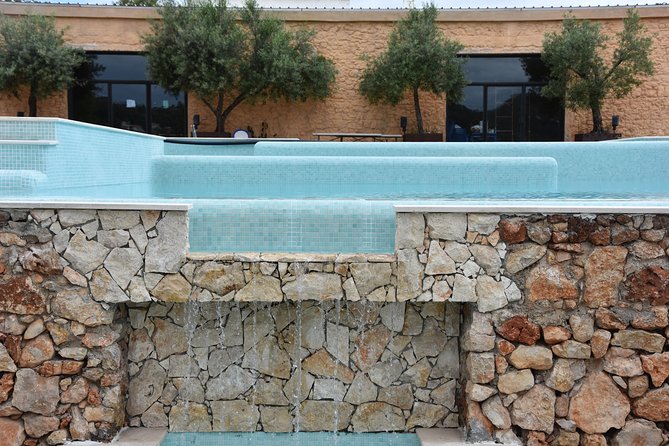 Tour & Wine Tasting - Authentic Algarve Flavours by Quinta Da Tôr - The Art of Winemaking
