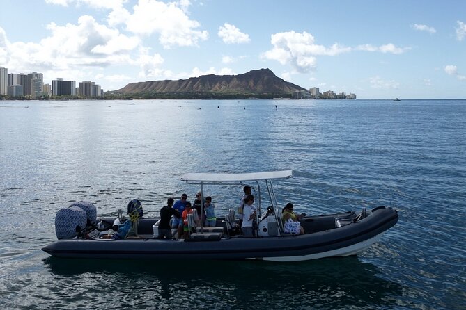 Turtle Canyon Snorkel: Semi Private Boat Tour - Customer Reviews and Feedback