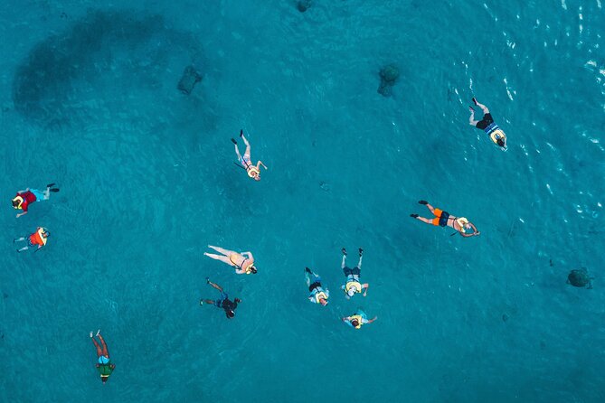 Turtle Snorkeling Boat Tour and Adventure in Waikiki - Health and Safety Information