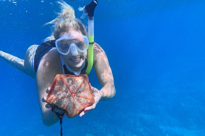 Turtle Town Snorkel With Photo and Video - Preparing for the Snorkeling Adventure