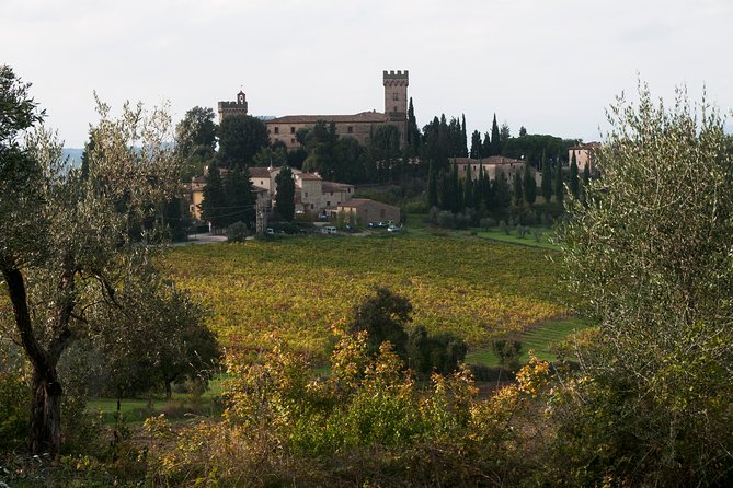 Tuscany Vespa Tours Through the Hills of Chianti - Wine and Olive Oil Tasting Experience