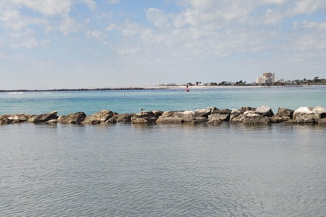 Two Hour Private Sightseeing/Dolphin Tour in Panama City Beach - Customer Reviews and Feedback