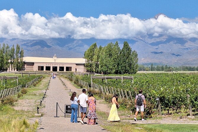 UCO VALLEY WINERIES DAY With PRIVATE DRIVER - Customizable Itinerary