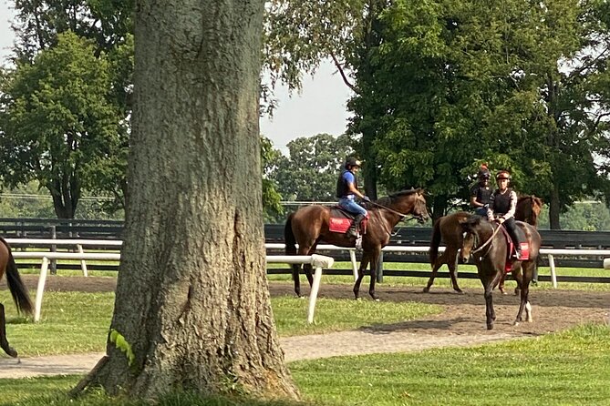 Unique Horse Farm Tours With Insider Access to Private Farms - Guest Experiences and Reviews