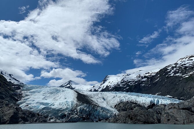 Valley of Glaciers Experience With Portage Glacier Cruise and Wildlife Tour - Customer Reviews and Ratings
