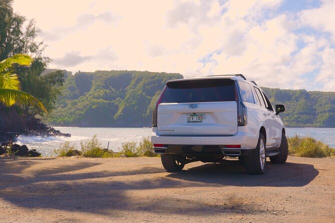 VIP Private Road to Hana Tour With Pick up - Customer Experiences and Feedback