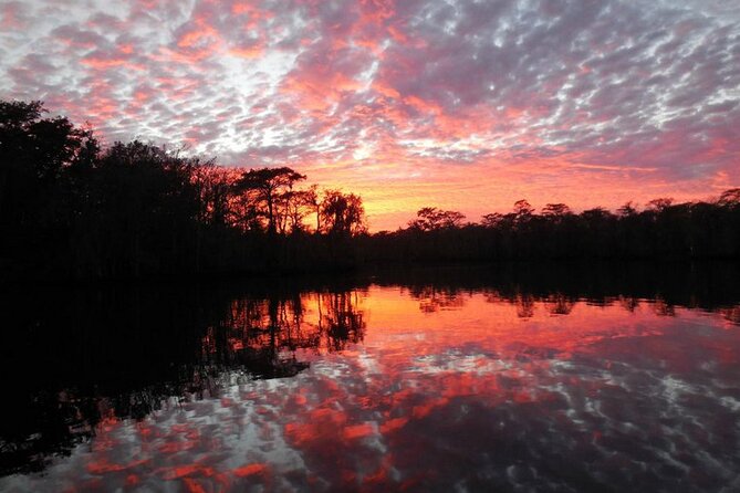 Waccamaw River Nature and Wildlife Tour - Recommendations and Additional Information