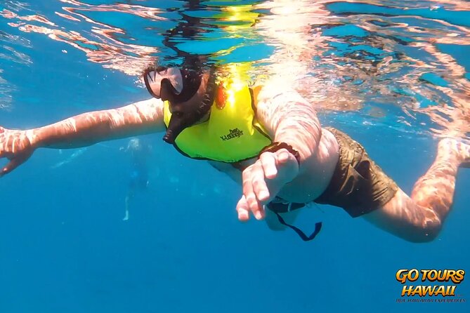 Waikiki Green Sea Turtle Snorkeling Tour - Boat Excursion - Wildlife Sightings
