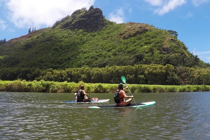 Wailua River & Waterfalls Kayak Tour: Expert-Guided Adventure - Meeting Point and Logistics
