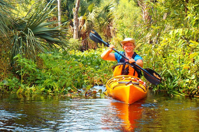 Wekiva River Guided Kayak Tour - Highlights of the Guided Kayak Tour
