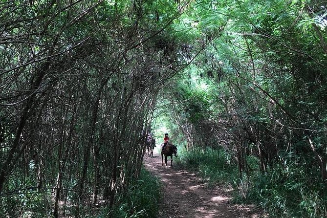 West Maui Mountain Waterfall and Ocean Tour via Horseback - Safety Considerations