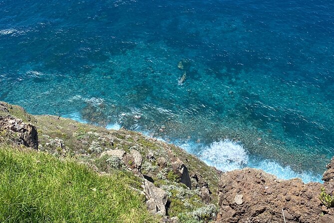 West Side Private Full Day Madeira Tour (Mercedes Viano/Vito) - Guide Quality and Tour Experience