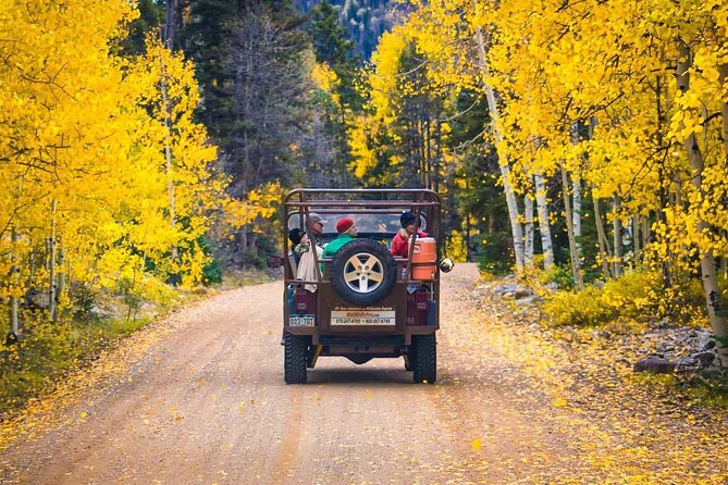 Wildflowers, Waterfalls & Mining History Durango Jeep Tour - Witnessing the High-Alpine Meadows and Avalanche Gullies