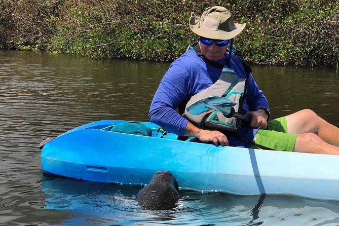 Wildlife Refuge Manatee, Dolphin & Mangrove Kayak or Paddleboarding Tour! - Paddling Through Mangrove Forests
