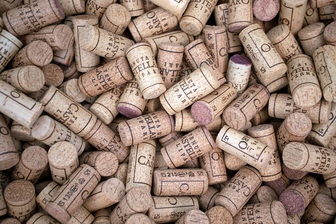Wine Tasting the CLASSICS - Accessibility and Participation