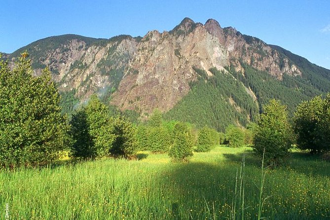 Woodinville Wine and Snoqualmie Falls Tour - Guest Reviews and Feedback