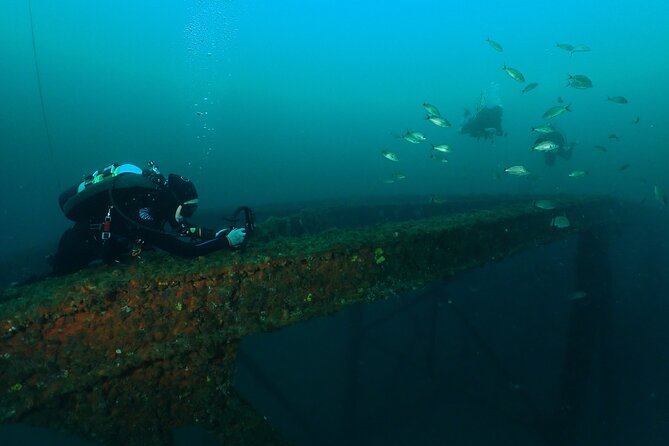 Wreck and Bridge Span Dive for Certified Divers - Meeting Point and Logistics