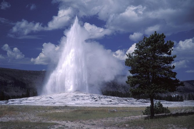 Yellowstone Lower Loop Full-Day Tour - Discovering Lake Yellowstone