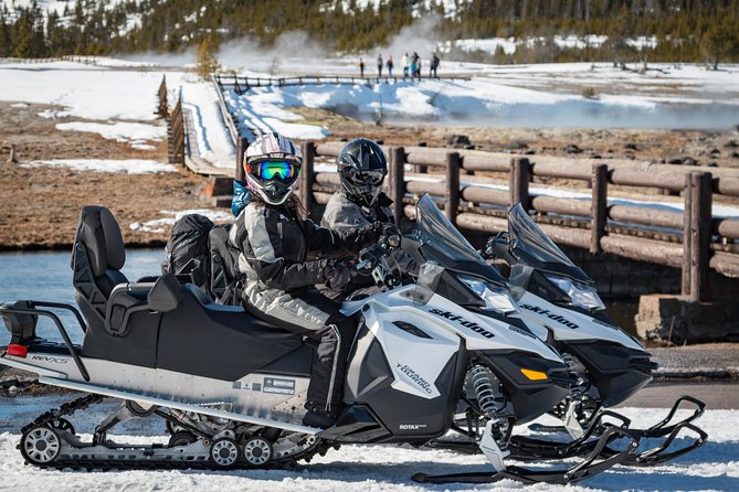 Yellowstone Old Faithful Full-Day Snowmobile Tour From Jackson Hole - Tour Experience and Wildlife Sightings