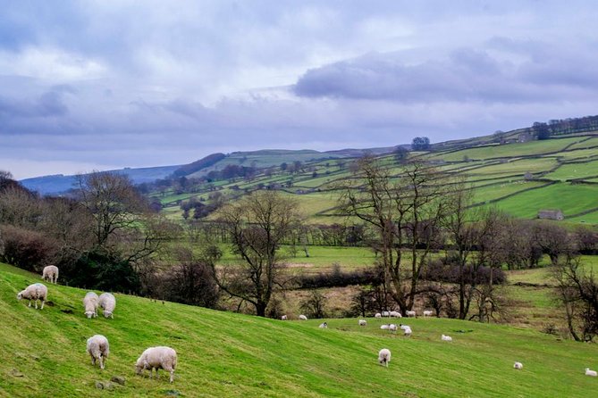 Yorkshire Dales Tour From York - Picturesque Market Towns