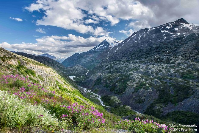 Yukon Suspension Bridge and Summit Tour - Highlights of the Tour