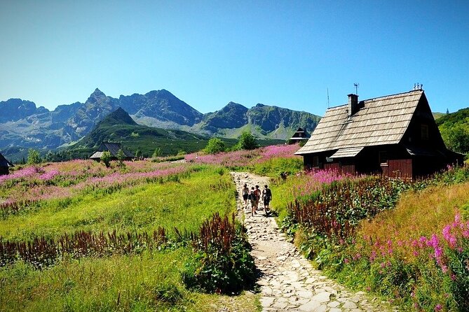 Zakopane & Thermal Baths With Hotel Pickup - Visitor Recommendations