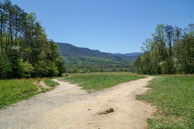 1 Day Jeep Rental Through the Smoky Mountains - Driving Through Winding Roads