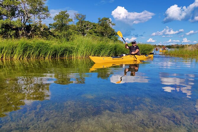 1-Day Small-Group Stockholm Archipelago Kayak Tour - Tour Experience